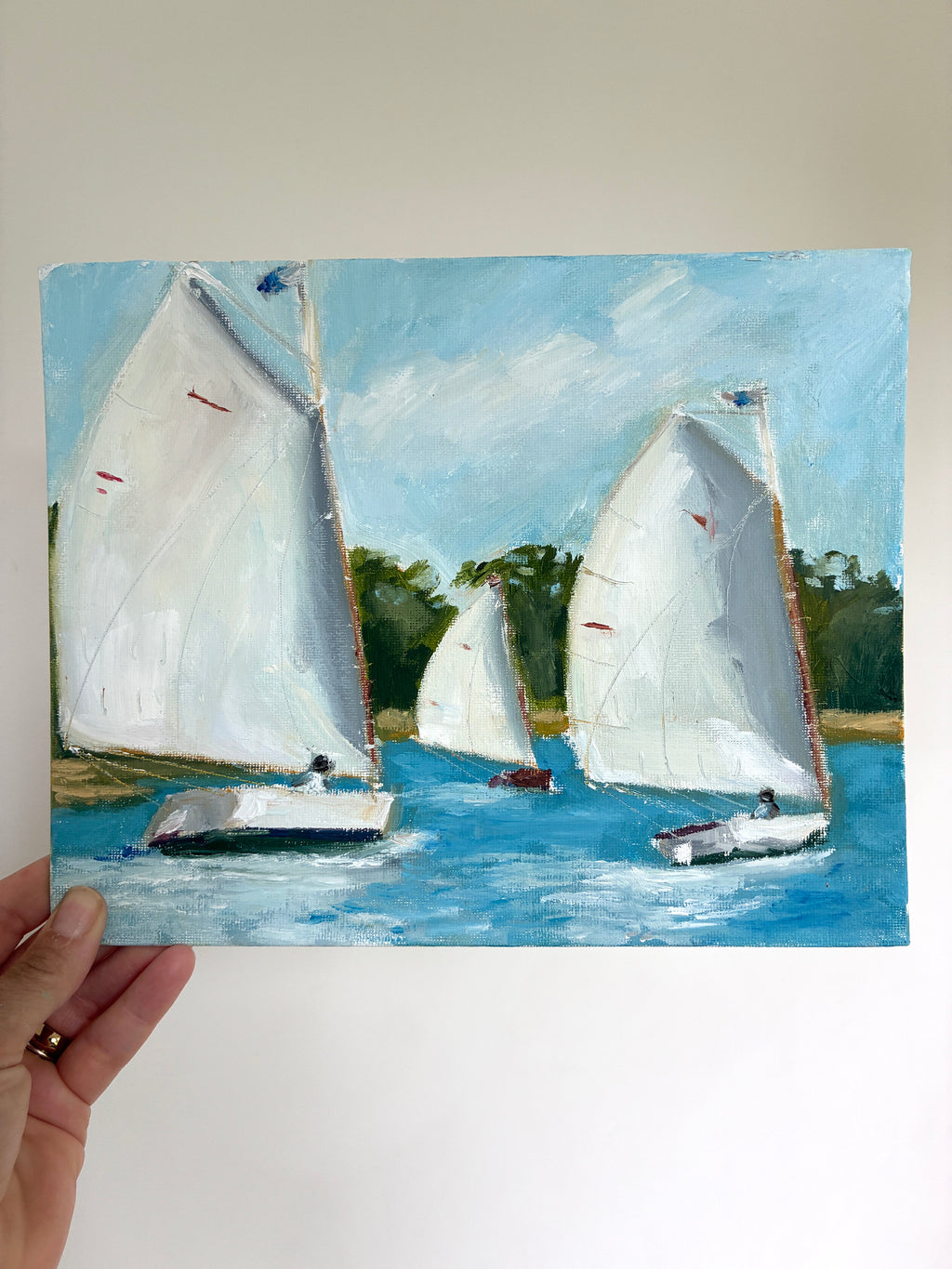Sunlit Regatta