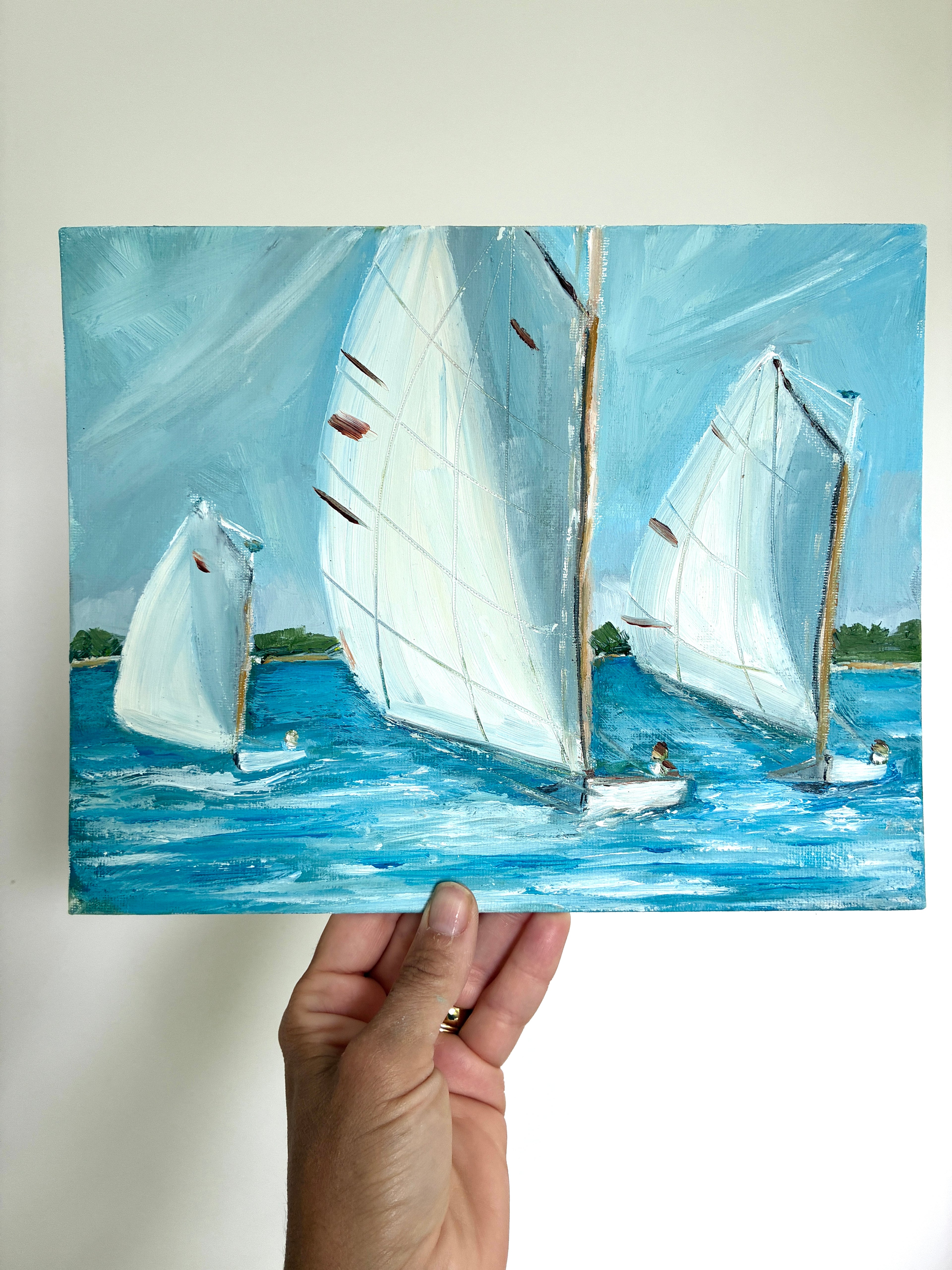 Windswept Regatta