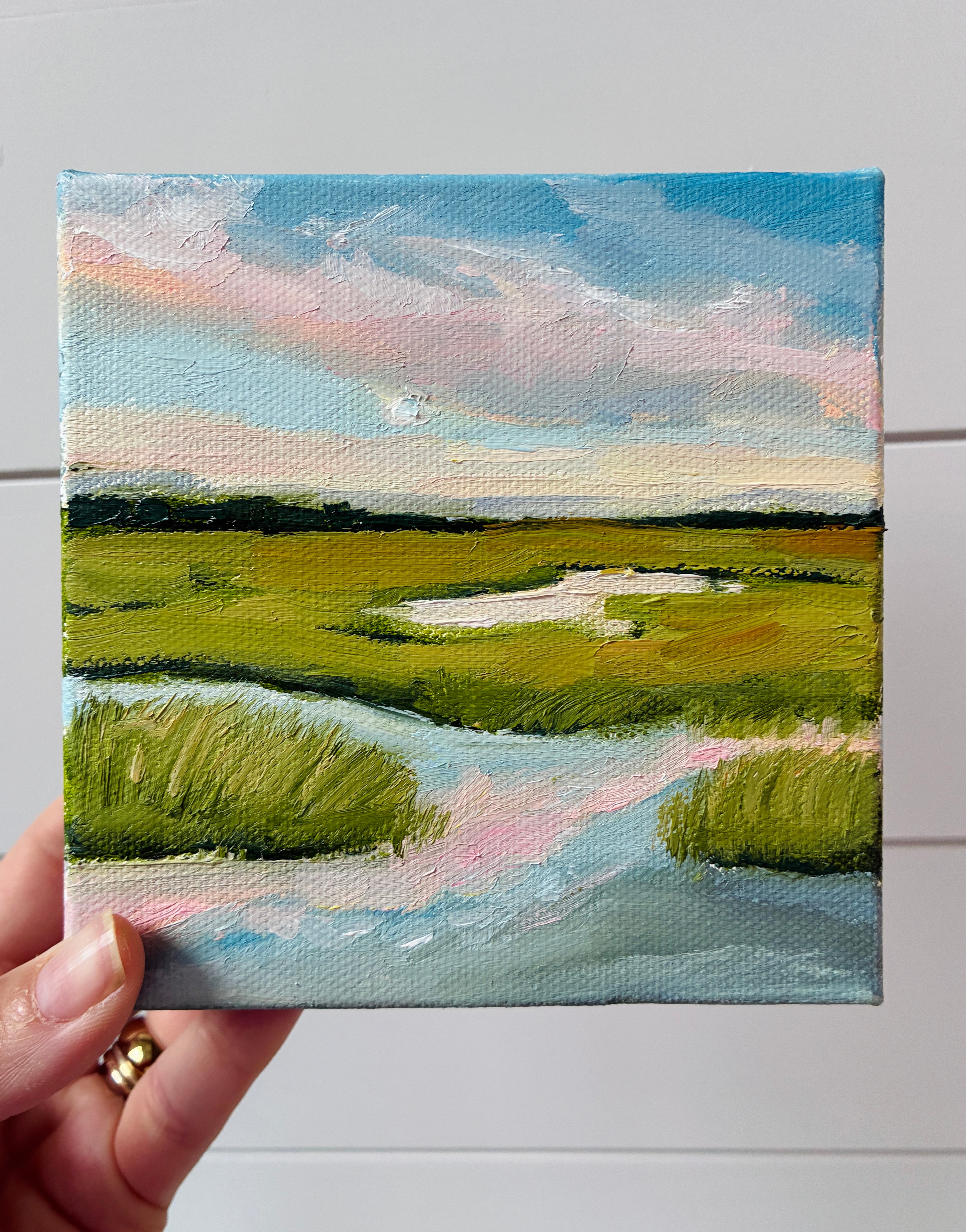 Salt Marsh at Sunset 1