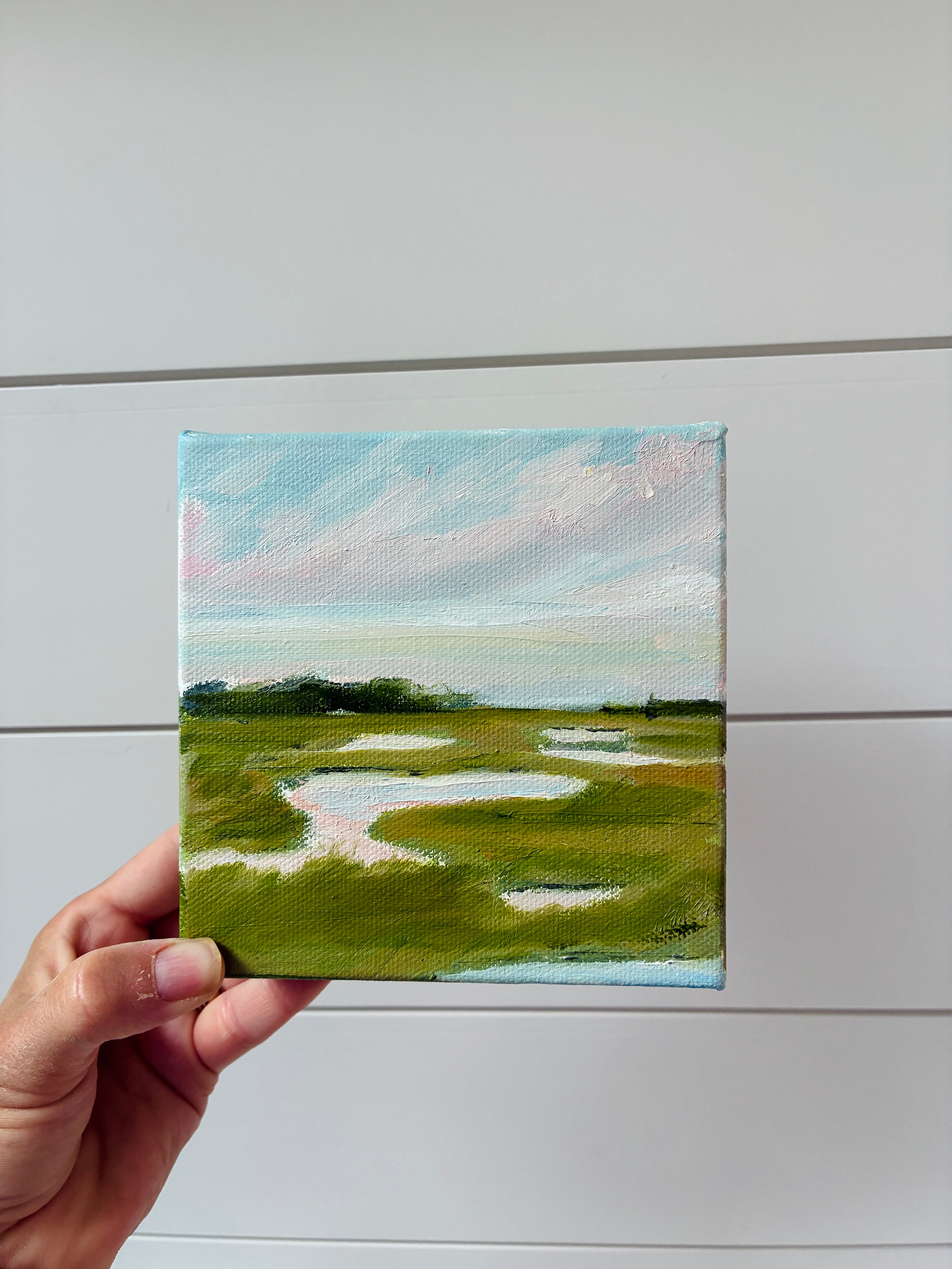 Salt Marsh at Sunset 2
