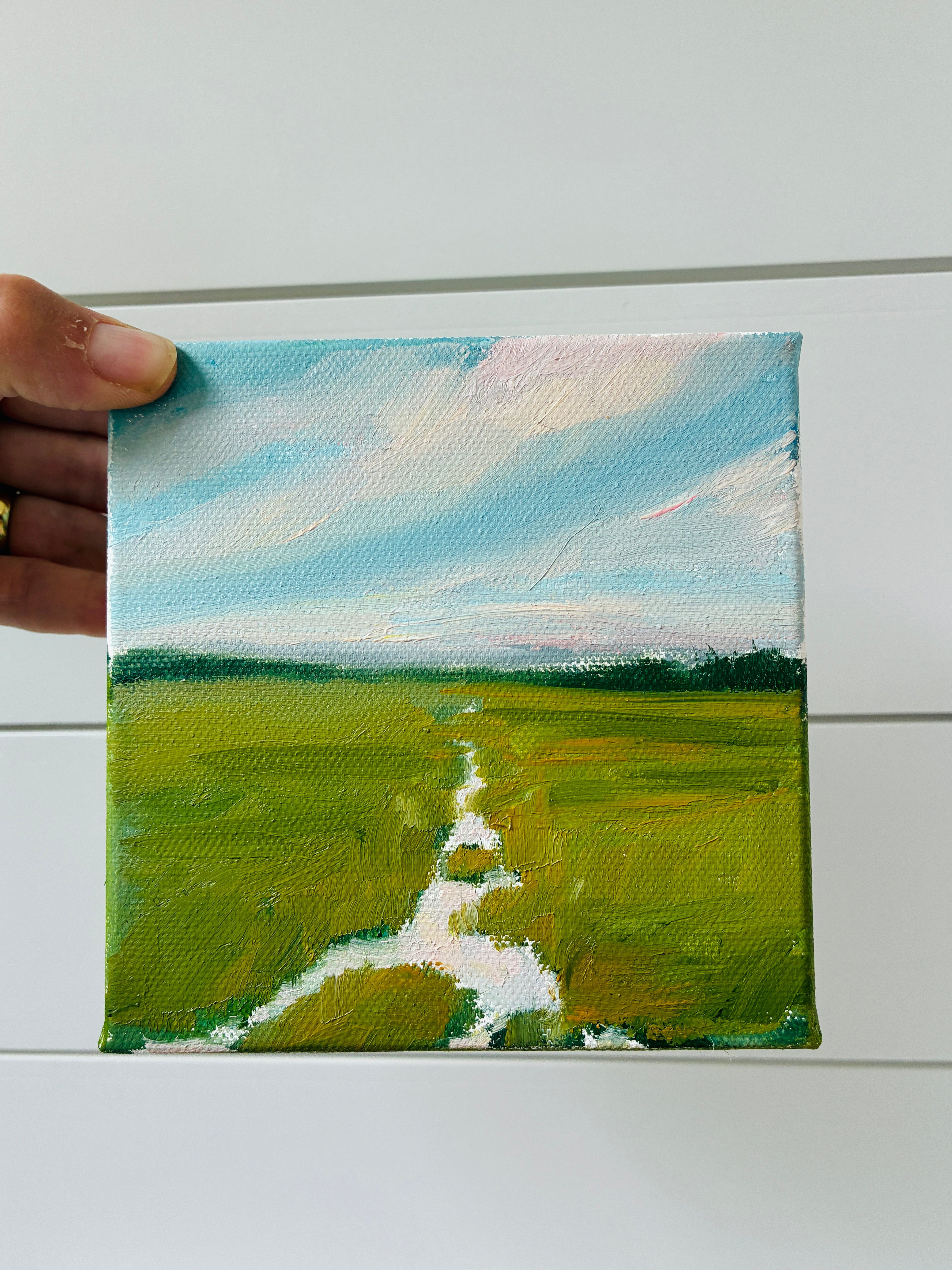 Salt Marsh at Sunset 3
