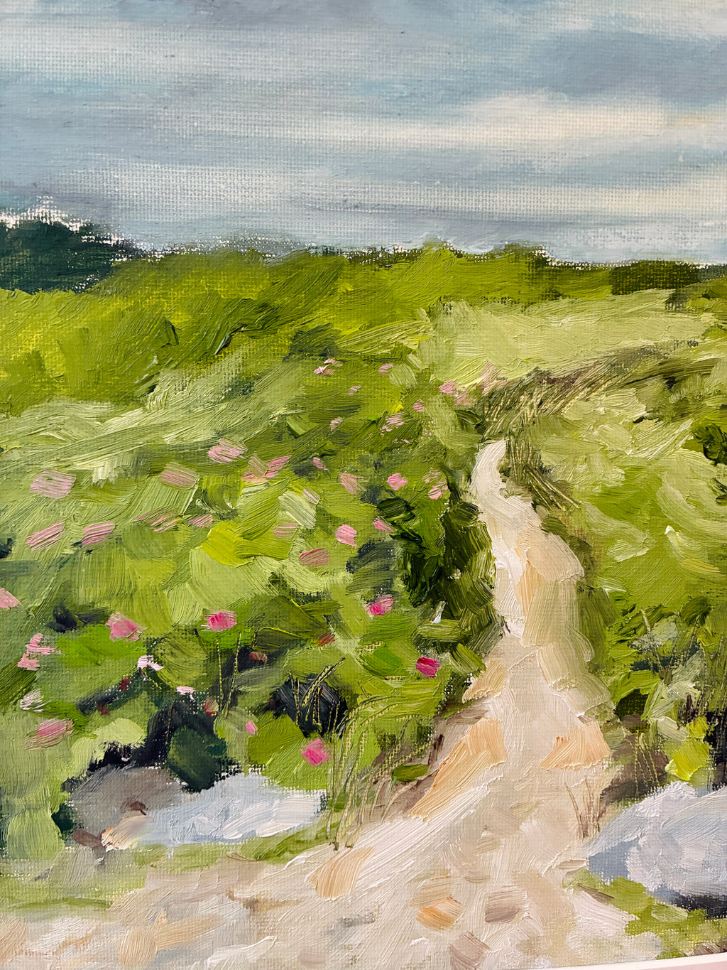 Beach Rose Path