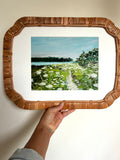 Queen Anne's Lace, Giclee Print, 8x10